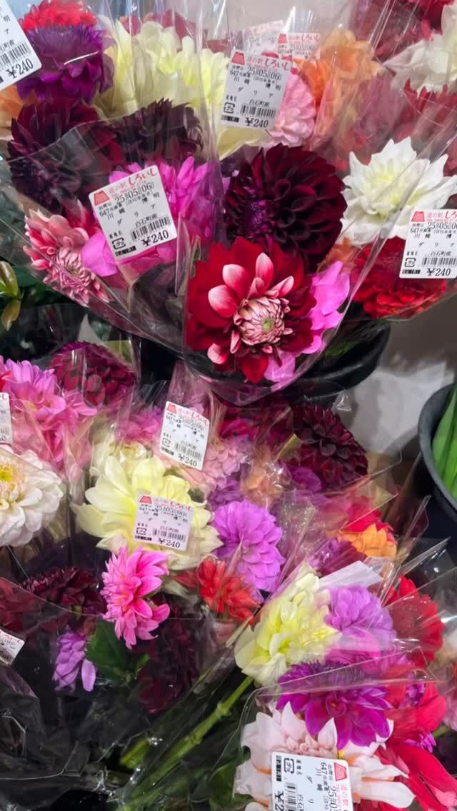 おはようございます😊
5月6日（火）9時オープンしました✨
あっと言う間に連休最終日😊

連日、多くのお客様にご来店いただきありがとうございます🌸🍀

本日もご来店お待ちしております😊

#道の駅しろいし
#白石町
