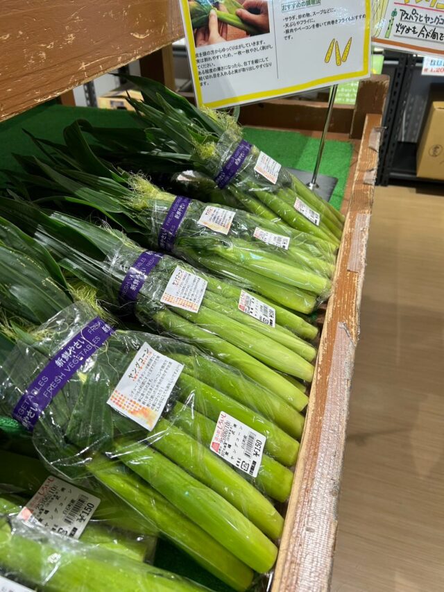 おはようございます☔️
6月10日(火)9時オープンしました！

雨になりましたので
出荷物が少ないです🙇‍♀️

※2階レストランは定休日です

店内外滑りやすくなっておりますので
お気をつけてお過ごしください😊

本日もご来店お待ちしております！

#道の駅しろいし
#白石町