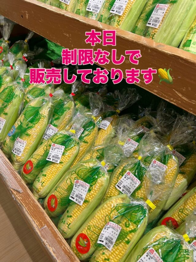 おはようございます😊
6月13日（金）9時オープンしました😊

お野菜の出荷は少なめです🙇‍♀️

【スイートコーン🌽】は
制限なしで販売しております🌽

店内外滑りやすくなっておりますので
ご来店の際はお気をつけてお越しください😊

本日もご来店お待ちしております🙇‍♀️

#道の駅しろいし
#白石町
