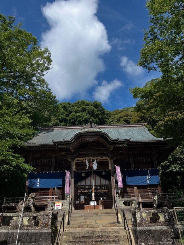 おはようございます☀
令和7年7月7日(月)9時オープンしました！

稲佐神社⛩️へ参拝🙏🏻
暑いけど、ホッとする場所⛩️

今日は「七夕🎋」
白石町では旧暦の七夕に飾りをされるご家庭が多いです🎋
「七夕コシヒカリ」も旧暦の七夕頃の出荷になります🌾🎋

スイートコーン🌽は
出荷量が少なくなり、朝の早い時間に完売しております🙏🏻

夏野菜が増えてきてます🍆
ナス🍆ゴーヤ、カボチャ🎃オクラなど
夏野菜を食べて暑い夏を乗り切りましょう😊

店内はキンキンに冷やしてますので、休憩にぜひお立ち寄りください😊

本日もご来店お待ちしております😊🎋

#道の駅しろいし
#白石町
#稲佐神社
#七夕