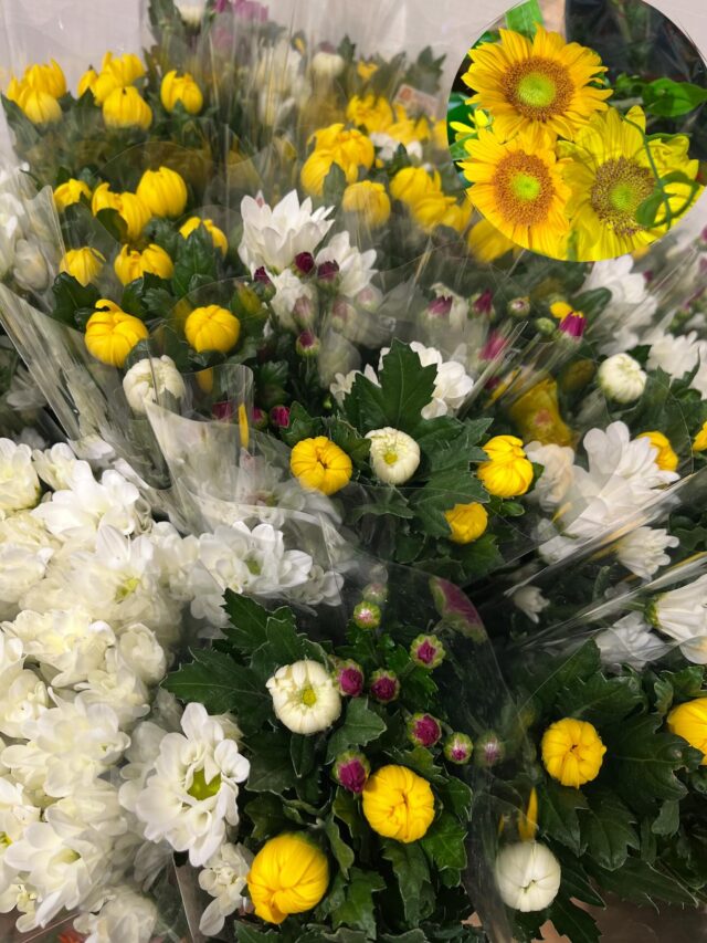 おはようございます☀
7月8日（火）9時オープンしました😊

スイートコーン🌽も出荷が少なくなりました🙇‍♀️
夏野菜は出荷が増えてきてます🍆🥒

【7月8日は
　ナイスバディーの日】
日付は「ナ（7）イスバ（8）ディー」と読む語呂合わせから。
「心も体もきれいで健康で、毎日を自分らしく生き生きと生きること」を多くの人たちと約束し合う日。この日には、心と体の健康と美容を自分自身と向き合って考え、自分らしさを楽しみながら発見できるイベントが開催される。

※本日、2階レストランは定休日です🙇‍♀️

本日もご来店お待ちしております😊

#道の駅しろいし
#白石町
