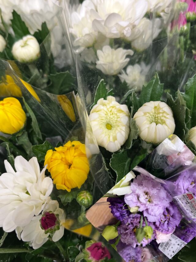 おはようございます☀
7月11日(金)9時オープンしました！

早生れんこんの出荷が始まりました🪷

スイートコーン🌽は出荷されてますが
出荷量が減ってきました🙇‍♀️

【7月11日は血管内皮の日】
日付は「な（7）い（1）ひ（1）」（内皮）と読む語呂合わせから。
血管は3層構造をしており、動脈硬化は動脈の1番内側にある内皮細胞の機能低下から始まるので、血管内皮の機能を保つことが血管の健康維持、健康寿命の延伸につながる。
記念日を通して多くの人に血管内皮機能に関心を持ってもらい、健康な血管を維持してもらうのが目的。

血液サラサラといえば玉葱🧅
ぜひ白石町産の🧅をご賞味ください😊

本日もご来店お待ちしております😊

#道の駅しろいし
#白石町