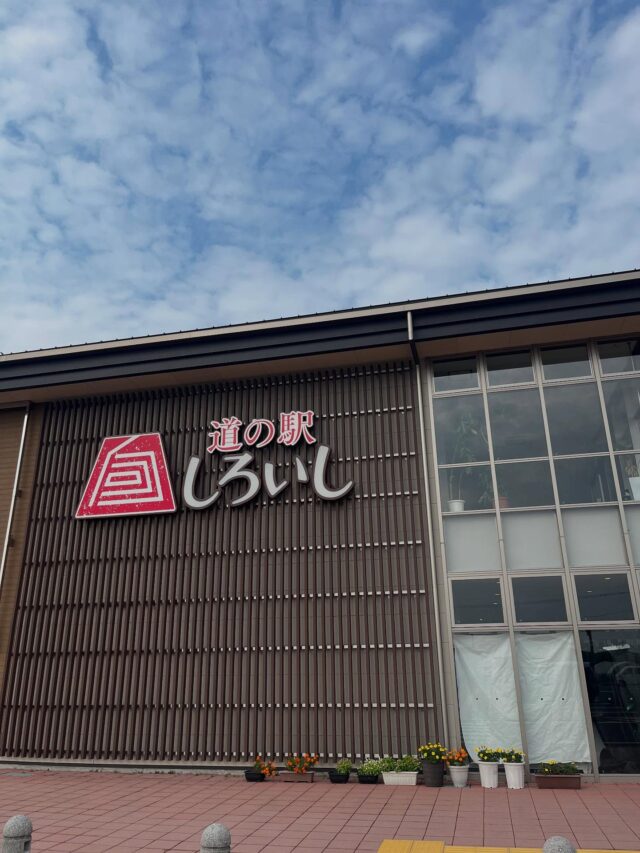 おはようございます😊
7月9日（水）9時オープンしました✨

出荷のお野菜は少なめです🙇‍♀️💦

【7月9日は泣く日】
日付は「な（7）く（9）」泣くと読む語呂合わせから。
泣くことで喜怒哀楽の感情表現の豊かさについて考える日。
泣くことは、ストレスを解消する、免疫力を高める、こころの安定を保つなどの効果があると言われてる。
泣くと気持ちがスッキリしたり、思いっきり泣いた後には深い眠りにつけたりする。また、抑え込まれた感情は泣くことで発散され、その後は落ち着いて物事を冷静に考えられたりもする。

こんな暑い日は感動する映画やドラマで頭とこころのリフレッシュするのもいいですね😊

本日もご来店お待ちしております😊

#道の駅しろいし
#白石町