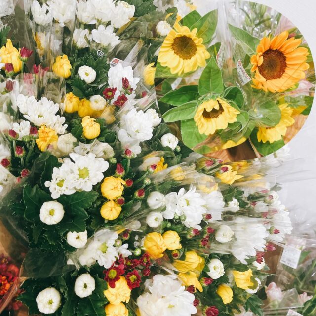 おはようございます☀
7月13日(日)9時オープンしました！

スイートコーン🌽
少量出荷されましたが、完売しました🙇‍♀️

ぶどう🍇胡瓜🥒オクラ、枝豆🫛茄子🍆などたくさん出荷されております😊

【7月13日は盆迎え火】
野外で火をたいて迎え火をする風習。

先祖の精霊を迎えるために家のありかを知らせることが目的。門口で苧殻を燃やしたり、また玄関に提灯を下げて迎え火の代わりとするところもある。盆の初日である7月13日の夕方に行うのが習わし。月遅れの8月13日や旧暦7月13日に行う地方もある。

本日もご来店お待ちしております😊

#道の駅しろいし
#白石町