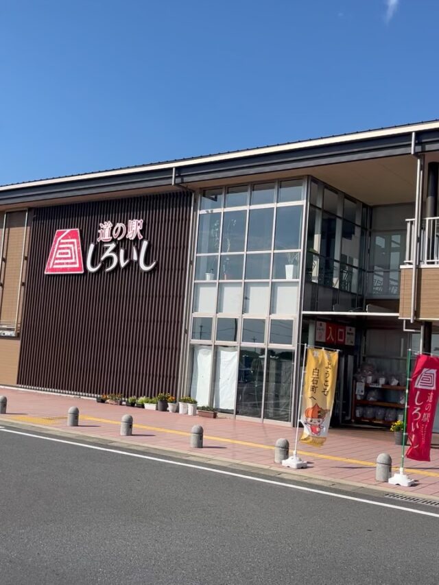 おはようございます☀️
7月15日（火）9時オープンしました！
いいお天気☀️😎

🌽スイートコーン🌽が入荷しました🌽

お盆の飾りに造花アレンジも入荷中🪷

【7月15日はファミコンの日】
1983年（昭和58年）のこの日、任天堂から家庭用ビデオゲーム機「ファミリーコンピュータ」が発売された。

勉強しないから買ってもらえなかった記憶があります💦あってもなくても勉強はしなかったです😂
初期のファミコン、色んな思い出が蘇ります。カセットフーフーしたりとか、ファイナルファンタジーとドラクエどっちが好き？とか🤔

「懐かしい思い出が脳を刺激するらしいですよ」

※明日（7月16日水曜日）は定休日です
※本日、2階レストランは定休日です

本日もご来店お待ちしております😊

#道の駅しろいし
#白石町