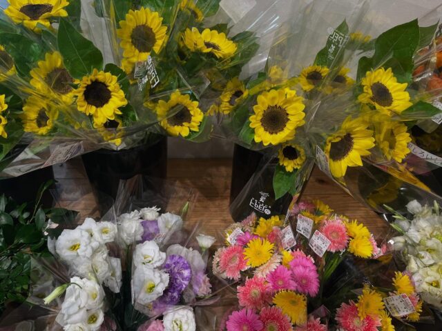 おはようございます☀
8月17日（日）9時オープンしました😊

朝は地震がありびっくりでした🫨

お野菜🫑🥒🎃果物🍇🍐
たくさん出荷されてます😊

【8月17日は
　　地域と共に成長の日】
不登校や引きこもりなど、生きづらさを抱えた子どもたちを地域で見守り支えていくことが目的。記念日を通してその認識を新たにし、継続的に行動していく。また地域と共に成長し子どもたちの未来を考える活動も持続的に行っていきたいとの願いが込められている。

本日もご来店お待ちしてます😊

#道の駅しろいし
#白石町