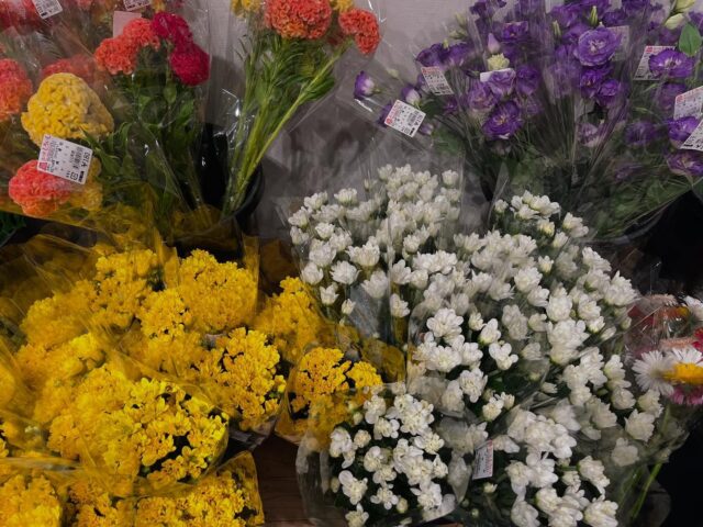 8月31日（日）9時オープンしました！

【8月31日は野菜の日】
【空き家整理の日】
日付は「あきや（8）せ（3）い（1）り」（空き家整理）と読む語呂合わせと、夏の終わりに空き家の整理を考えてもらいたいとの思いから。住む人がいなくなり増え続ける空き家は、防災上、衛生上、景観上など、地域社会にとって大きな問題になっていることから、空き家やその家財の整理に関心を持ってもらうことが目的。

今日も朝から暑いです🥵💦
熱中症に気をつけてお過ごしください！

本日もご来店お待ちしてます😊

#道の駅しろいし
#白石町