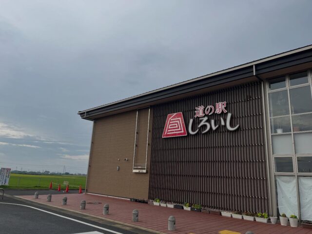 おはようございます☁️
9月12日（金）9時オープンしました😊
どんより曇り☁️湿気が〜💦

うなぎ、お刺身🐟
ぶどう🍇いちじく、
ポップコーンなど出荷されてます😊

【9月12日はマラソンの日🏃🏻】
紀元前450年のこの日、ペルシャの大軍がアテネを襲いマトランに上陸したのをアテネの名将ミルティアデスの奇策でこれを撃退し、フェイディピデスという兵士が伝令となってアテネの城門まで走りついてアテネの勝利を告げたまま絶命したといわれている。
1896年（明治29年）にアテネで第1回オリンピックが開かれるにあたり、この故事を偲んでマラトンからアテネ競技場までの約40kmの競走が加えられ、初めての「マラソン競走」が行われた。

明日から世界陸上、男子バレーが始まりますね！「日本頑張れ🇯🇵」

本日もご来店お待ちしてます😊

#道の駅しろいし
#白石町