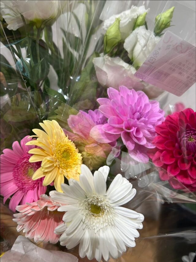 おはようございます😊
10月16日（木）9時オープンしました✨

今日は玉葱🧅が入荷してます。
終盤になり、出荷量が少なくなってますので、お一人さま３キロまでに制限させていただいております😊

お米も入荷してます🌾
新品種「ひなたまる」
高温に強く美味しいといわれてます😊
私も今夜は、ひなたまるを食べます🌾

皆さまも、白石の美味しいお米をご賞味ください🌾😊

本日もご来店お待ちしてます😊

#道の駅しろいし
#白石町