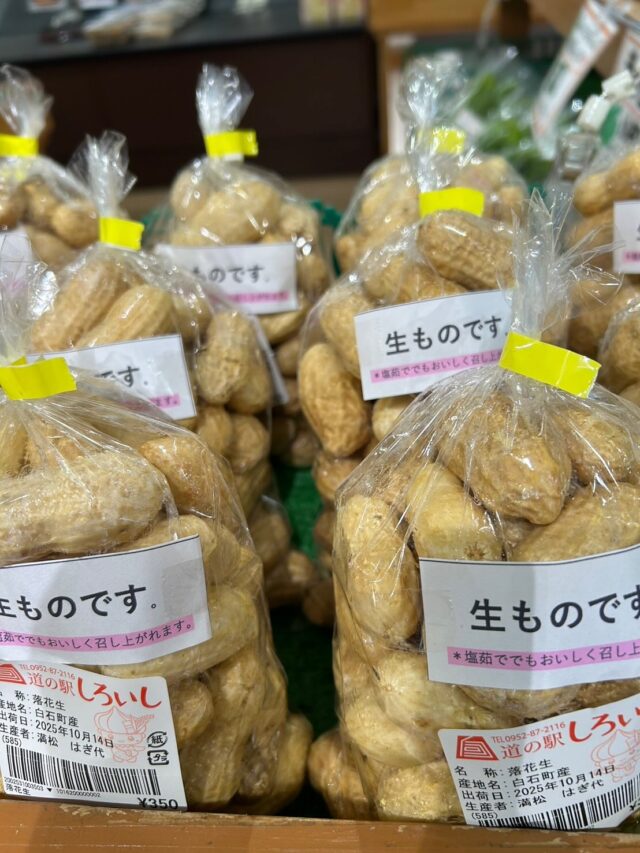 おはようございます😊
10月14日（火）9時オープンしました✨

3連休中、多くのお客様にご来店いただきありがとうございました🙇‍♀️
お野菜もその他商品も完売するものが多くあり嬉しい限りでした🤗

【10月14日は塩美容の日】
日付は「10」を「い（1）いお（0）しお」（いい塩）、「14」を「い（1）いし（4）お」（いい塩）と読む語呂合わせから。
洗顔・マッサージ・入浴など、美容面でも様々な使い方のある塩の魅力を多くの女性に伝えるのが目的。

※本日２階レストランはお休みです

本日もご来店お待ちしてます😊

#道の駅しろいし
#白石町

本日も