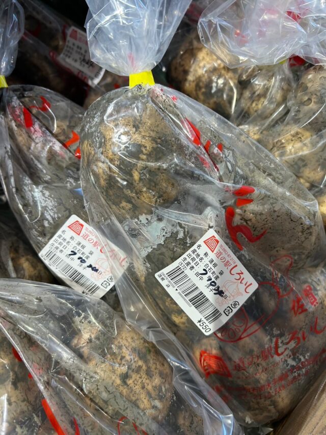 10月24日(金)
9時から元気に営業してます😊
朝晩は過ごしやすくなってきましたが、日中は暑い💦
もう直ぐ11月なのに😂
本日もご来店お待ちしてます😊
#道の駅しろいし
#白石町