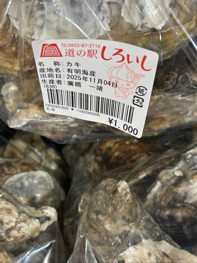 おはようございます☀️
11月4日（火）9時オープンしました！

店内商品、夏から秋？🍂冬？に変わりつつあります😊
牡蠣🦪も出荷が始まり、お野菜も葉物が増え、そろそろお鍋🍲の季節がやってきました😊

午前中の方が品揃えはいいです✨お早目にご来店ください♪

※本日2階レストランはお休みです🙇‍♀️

本日もご来店お待ちしてます😊

#道の駅しろいし
#白石町