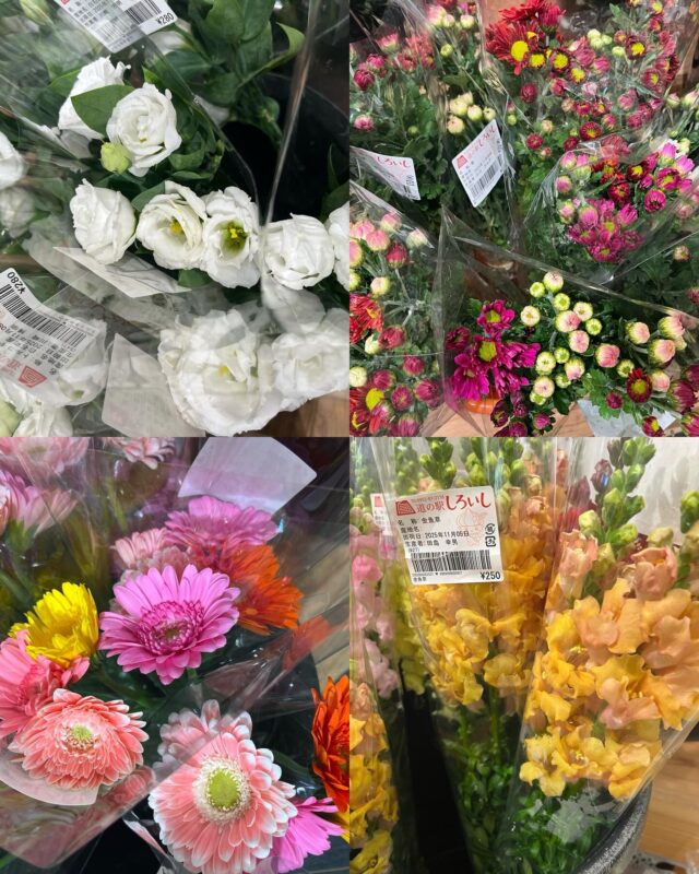 おはようございます☀
11月5日（水）9時オープンしました😊
朝は過ごしやすくなってきました😊

【11月5日は縁結びの日】
日付は「いい(11)ご(5)えん」（いいご縁）と読む語呂合わせから。
古くから縁結びの地として知られる出雲路。その出雲地方では神有月（かみありづき）と呼ばれる旧暦10月（新暦11月頃）に出雲大社に全国の神様が集まり縁結びなどの会議が行われるとされている。

「出雲大社」は「縁結びの神」として親しまれている「だいこく様」（オオクニヌシノミコト）を祀る日本有数の神社である。
恋愛や結婚はもちろん、誰もが健やかに幸多く栄え、睦み合えるよう、だいこく様の縁結びの力は、神代の頃から変わりなく、多くの人に幸せを運んでいる。

ご縁を大切に過ごしていきたいですね🙏🏻😊

本日もご来店お待ちしてます😊

#道の駅しろいし
#白石町