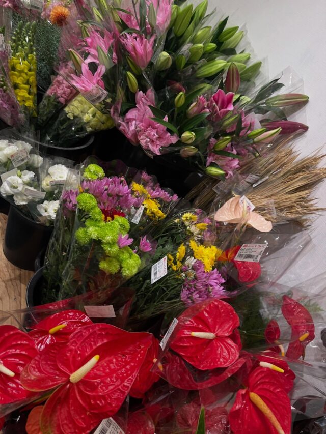 おはようございます☀
11月29日（土）9時オープンしました！

朝から多くのお客様にご来店いただきありがとうございます😊

12時過ぎてしまいました💦
写真はオープン前の状況です🙏🏻

お野菜はたくさん出荷されてましたが、
少なくなってるお野菜もあります🙇‍♀️

本日もご来店お待ちしてます😊

#道の駅しろいし
#白石町