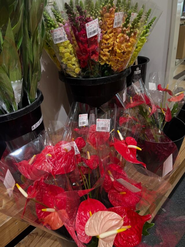 おはようございます☀
12月12日（金）9時オープンしました！

冷たい朝でした。
少し風が強く感じます🌪️

いちご🍓も増えてきましたよ🍓

おでん🍢や鍋に🍲使えるお野菜たくさん出荷されてます！寒い日はあったかい食べ物がいいですね😊

本日もご来店お待ちしてます😊

#道の駅しろいし
#白石町