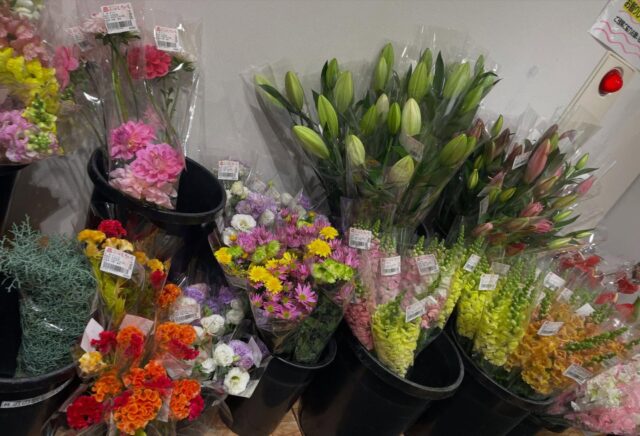 おはようございます☀
11月30日（日）9時オープンしました！

11月も最終日となりました💦

朝から多くのお客様ご来店いただきありがとうございます😊

蓮根の発送も多くなってきました🪷
お早目にお手続きされることをオススメします🪷

本日もご来店お待ちしてます😊

#道の駅しろいし