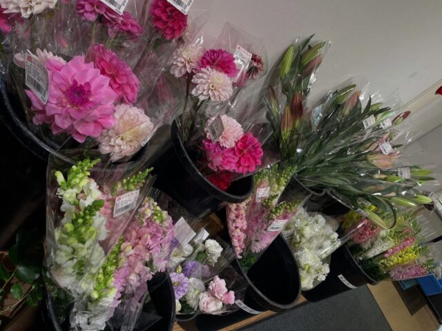 おはようございます☀
12月2日（火）9時オープンしました！
今日はポカポカ陽気ですが、
明日は冷えそうですね🥶

あったかいお鍋🍲の材料になるお野菜がたくさん出荷されてます😊
寒くなると家から出たくなくなりますので、今のうちにお買い物へお越しください😊

※2階レストランは本日お休みです。

本日もご来店お待ちしてます😊

#道の駅しろいし
#白石町