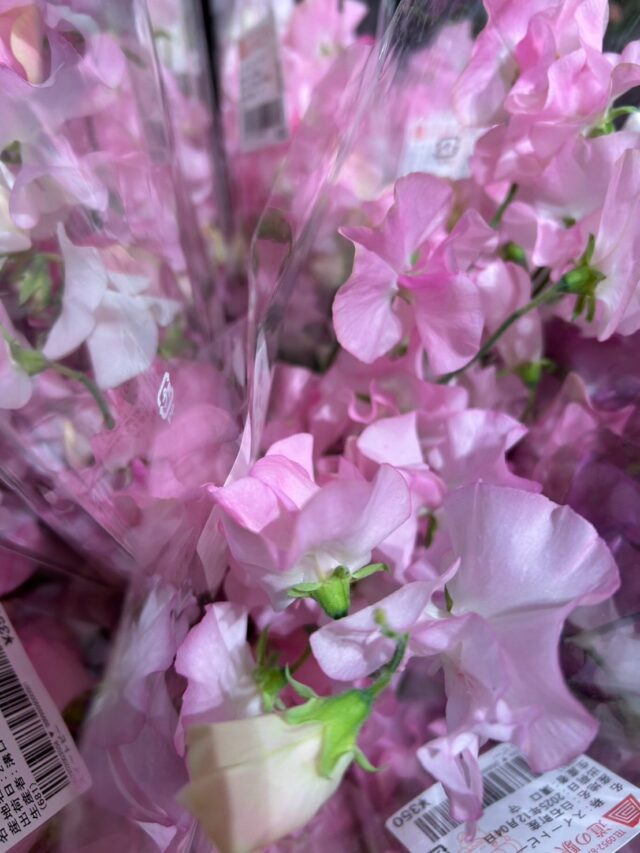 おはようございます☀
12月4日（木）9時オープンしました😊
いいお天気☀️ですが、空気は冷たく感じます😨

🪷蓮根地方発送予約受付中🪷
お早目のご予約をオススメします🙇‍♀️

本日もご来店お待ちしてます😊

#道の駅しろいし
#白石町