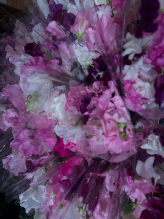 おはようございます☀
12月14日（日）9時オープンしました！

お野菜🍅🥬🧅
お肉🍖お刺身🐟たくさん出荷されてます✨

お鍋🍲やシチュー🍲、ポトフなどに使えるお野菜もたくさんあります😊

本日もご来店お待ちしてます😊

#道の駅しろいし
#白石町