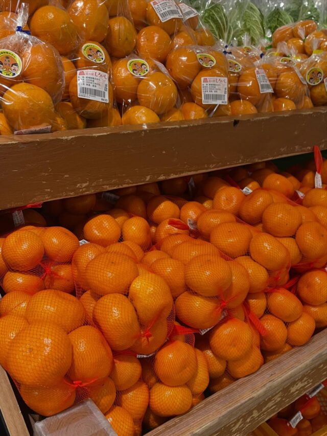 おはようございます☀
12月7日（日）9時オープンしました✨

寒い中、朝から多くのお客様にご来店いただきありがとうございます😊

蓮根の発送受付も増えてますので
早めの手続きをオススメします🪷

本日もご来店お待ちしてます😊

#道の駅しろいし
#白石町