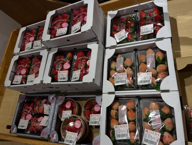 おはようございます☀
12月13日（土）9時オープンしました！

寒くなってきました。
蓮根が美味しい季節です🪷

朝から多くのお客様にご来店いただきありがとうございます😊

寒くなってきましたが、体調管理に気をつけてお過ごしください😊

本日もご来店お待ちしてます‼️

#道の駅しろいし
#白石町