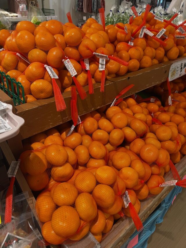 12月22日（月）
9時より営業してます‼︎

【冬至】
「二十四節気」の一つで第22番目にあたる。
北半球では太陽の高さが一年で最も低くなる日。そのため、一年中で最も昼が短くなり、夜が最も長い。季節の変わり目であり、寒さがますます厳しくなる時期でもある。
この日にゆずを浮かべた柚子湯に入り、かぼちゃを食べると風邪をひかないと言われている。

寒くなり、蓮根が美味しい季節になってきました✨
風邪ひかないようにお過ごしください😊

本日もご来店お待ちしてます😊

#道の駅しろいし