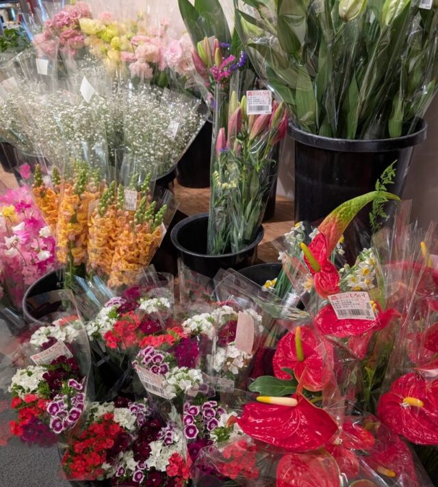 おはようございます☀
1月18日（日）9時オープンしました！

店頭は
べんがら　さん
北村商店　さん
さわちゃんキッチン　さん
524's coffee さん
レイ　さん
出店され、賑わってます✨

ぜひお立ち寄りください😊

本日もご来店お待ちしてます😊

#道の駅しろいし