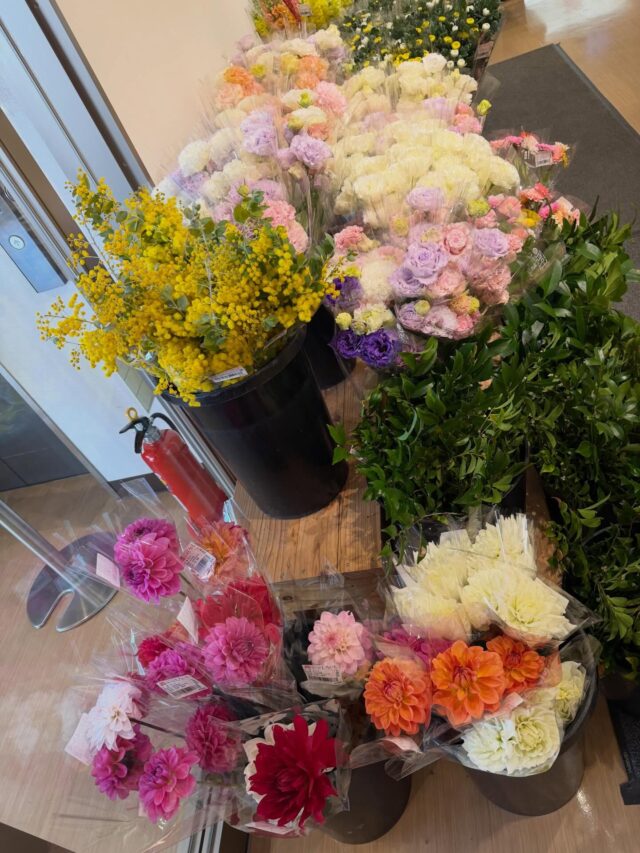 おはようございます☀️
3月21日（土）9時オープンしました！
いいお天気になりました☀️

お花🌸🌼
お野菜🥬🍅🥒🧅
いちご🍓🍓🍓
たくさん出荷されてます😊

【3月21日は、はじめようの日】
春、何かを新しく始める人を応援する日。
日付は新しいチャレンジを始めるためのカウントダウンから「3.2.1」となる3月21日に。
「さぁ、始めよう」という気持ちを思いお越してもらい、それを応援することが目的。

本日もご来店お待ちしてます😊

#道の駅しろいし