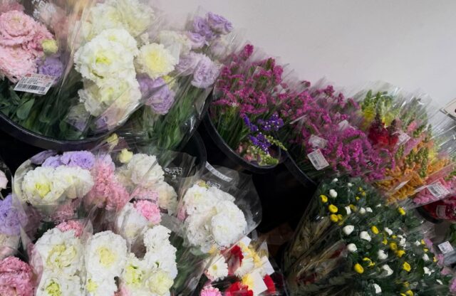 おはようございます😊
3月22日（日）9時オープンしました✨

お花🌼🌸
お野菜🍅🧅🥬いちご🍓🍓🍓
たくさん出荷されてます😊
お刺身🐟
お惣菜🍱も色々取り揃えてます✨

【3月22日は感動接客の日】
日付は「サービス（3）ニコ（2）ニコ（2）」と読む語呂合わせから。お客様が感動する接客を行うことで、お客様はもちろん、その店で働く人たちにも笑顔になってほしいとの願いが込められている。

道の駅しろいしは、ちょっと方言多めです💦理解できない場合はお申し出ください。丁寧語風には言えるかと😅

本日もご来店まっと〜よ〜😂

#道の駅しろいし