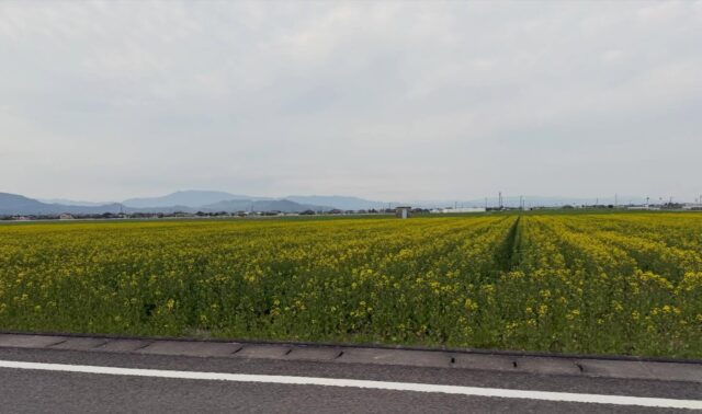 おはようございます😊
3月25日（水）9時オープンしました！
雨になりました☔

お野菜🥬🥒🍅🧅
いちご🍓たくさん出荷されてます✨

店内外滑りやすくなってますので
お気をつけてお越しください😊

本日もご来店お待ちしてます😊

#道の駅しろいし