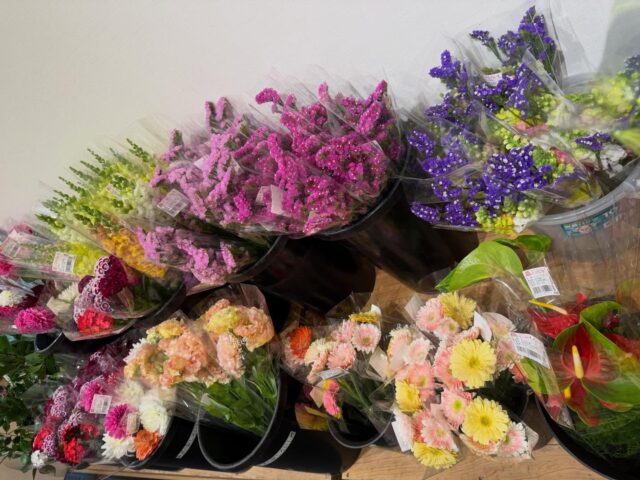 おはようございます😊
3月29日（日）9時オープンしました！

お野菜、いちご🍓たくさん出荷されてます🥬🍅🧅🥒

【3月29日はマリモの日】
1952年（昭和27年）のこの日、北海道阿寒湖のマリモが国の特別天然記念物に指定された。

お土産にもらったり、
買ったりしましたよね😊

本日もご来店お待ちしてます😊

#道の駅しろいし