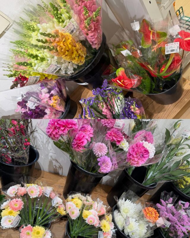 こんにちは😊
3月31日（火）9時より元気に営業してました💦

年度末は気持ち的にも慌ただしいですね😅💦

【3月31日は体内時計の日】
日付は入社や入学などの新生活の変わり目に、生活リズムを省みる日として、新年度が始まる前日の3月31日に。
「体内時計」は、1日のリズムに沿って、血管や臓器の働きを調整する自律神経やホルモンの分泌などをコントロールする「からだの司令官」の役割を果たしている。朝に太陽の光を浴びることや、食・睡眠を整えると、体内時計の機能が高まり、ダイエットやアンチエイジングの効果アップや、生活習慣病の予防にもつながる。

本日もご来店お待ちしてます😊

#道の駅しろいし