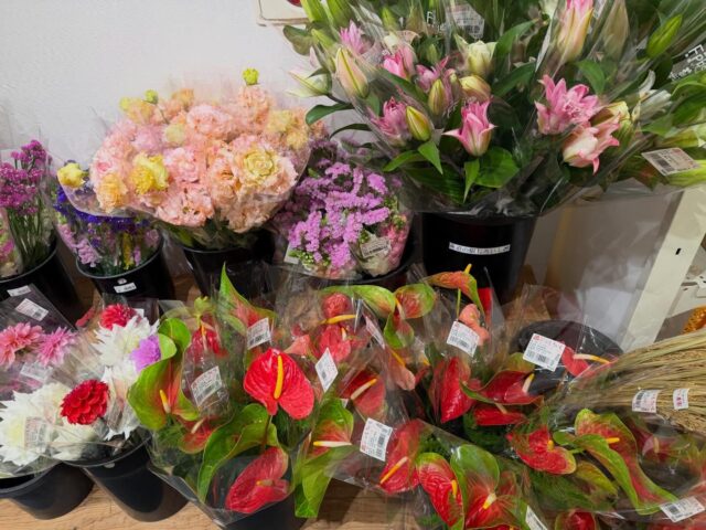 おはようございます😊
3月27日（金）9時オープンしました！

【3月27日は🌸さくらの日🌸】
日付は「3✖️9（さくら）🟰27」の語呂合わせと、七十ニ候の一つ「桜始開」（さくらはじめてひらく）が重なる時期でもあることから。
日本の歴史や文化、風土と深く関わってきた「さくら」を通して、日本の自然や文化について、国民の関心を深めることが目的。

白石町内もチラホラ🌸桜が咲き始めました🌸
所々に菜の花も咲きつつありますよ🌼

本日もご来店お待ちしてます😊

#道の駅しろいし