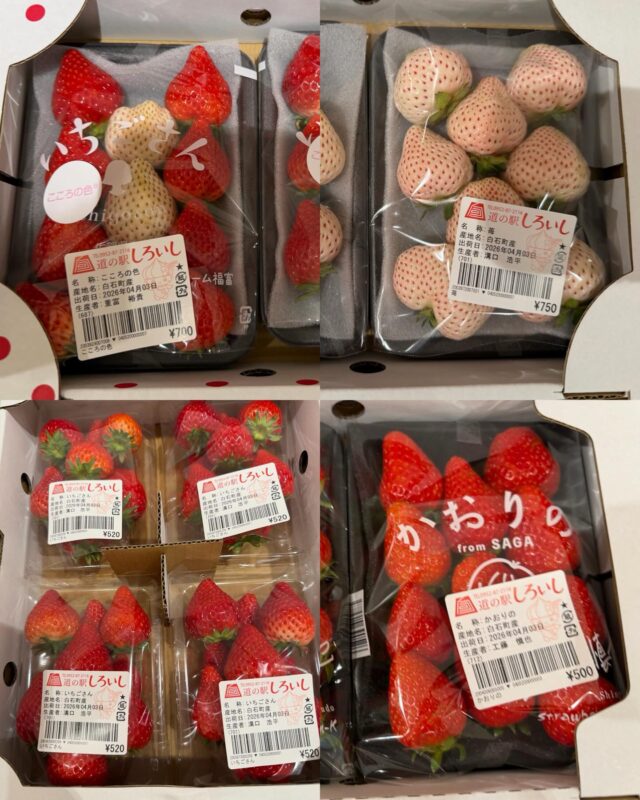 おはようございます😊
4月3日（金）9時オープンしました！

セロリは本日までの出荷になりました🙇‍♀️

【4月3日は趣味の日】
日付は「し（4）ゅみ（3）」（趣味）と読む語呂合わせから。仕事と同様に趣味にも情熱を注ぐ大人を応援することが目的。

※本日は2階レストラン
14時オーダーストップ、
14時半閉店させていただきます🙇‍♀️

本日もご来店お待ちしてます😊

#道の駅しろいし