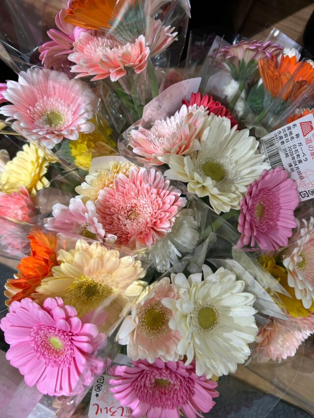 おはようございます☀
4月5日（日）9時オープンしました！
いいお天気になりました☀️

2階レストランは
一旦、本日までの営業になります🙇‍♀️
しばらくお休みいただき
新しく生まれ変わります✨
ご迷惑をおかけしますが
ご理解のほどよろしくお願いします🙇‍♀️

本日もご来店お待ちしてます😊

#道の駅しろいし