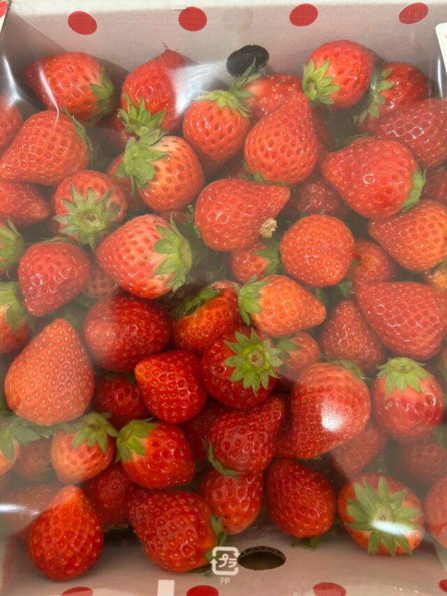 おはようございます！
4月13日（月）9時オープンしました😊

【4月13日は
　　新型インフルエンザ対策の日】
新型インフルエンザが世界的に広がり、多くの感染者や患者を発生させるパンデミック（世界的流行）への備えを怠らないようにとの思いが込められている。

本日もご来店お待ちしてます😊

#道の駅しろいし