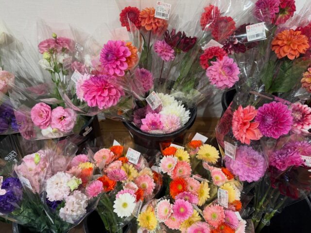 おはようございます😊
4月20日（月）9時オープンしました！

【4月20日は腰痛ゼロの日】
日付は「腰（4）痛（2）ゼロ（0）」と読む語呂合わせから。腰痛で悩んでいる人をゼロにしたいとの思いが込められている。腰痛に対する対処法、予防法を指導する日。

本日もご来店お待ちしてます😊

#道の駅しろいし