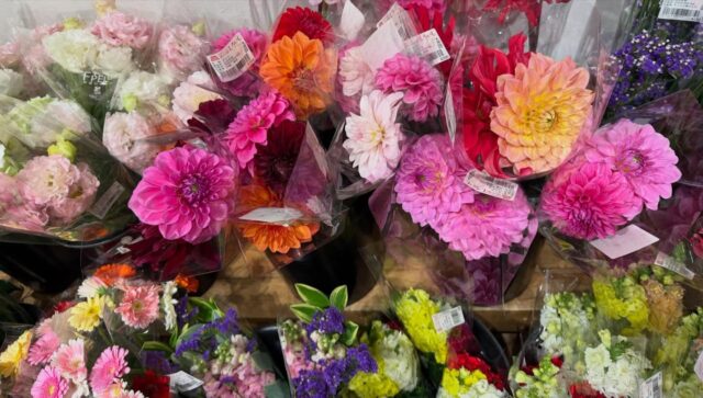 おはようございます😊
4月19日（日）9時オープンしました！
朝から多くのお客様にご来店いただきありがとうございます😊

お野菜🧅🍅🥬🥒
いちご🍓🍓🍓
たくさん出荷されてます😊

朝の雨の影響で店内外滑りやすくなってますので、お気をつけてお越しください😊

本日もご来店お待ちしてます😊

#道の駅しろいし