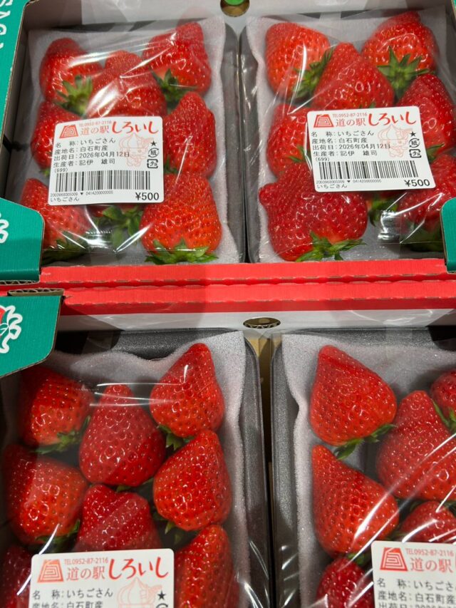 おはようございます☀️
4月12日（日）9時オープンしました！
朝から多くのお客様にご来店いただきありがとうございます😊

お野菜🧅🍅🥬🥒
いちご🍓🍓🍓
たくさん出荷されてます😋

本日もご来店お待ちしてます😊

#道の駅しろいし