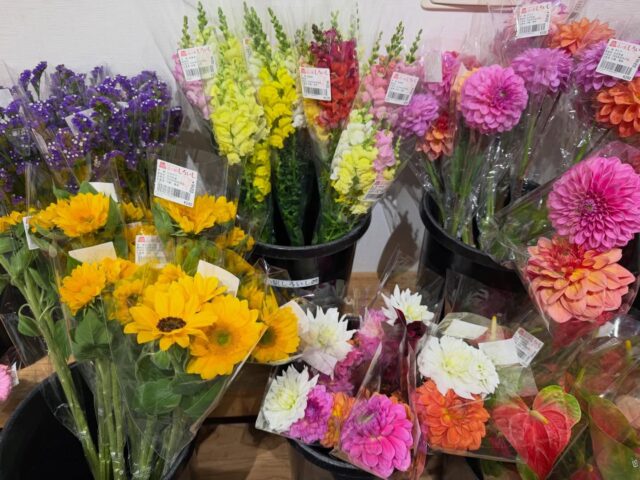 おはようございます😊
4月29日（水）9時オープンしました！
連休初日✨

お花🌸
お野菜🧅🥬🍅🥒
たくさん入荷してます😊

蓮根の出荷は終盤になり
少なくなってきてます🪷

【レストランより】
本日、11:00〜14:30（Lo:14:00）
プレオープン開催します✨

不慣れでご迷惑をおかけしますが、あたたかく見守ってください🙇‍♀️🙏🏻

#本日もご来店お待ちしてます😊