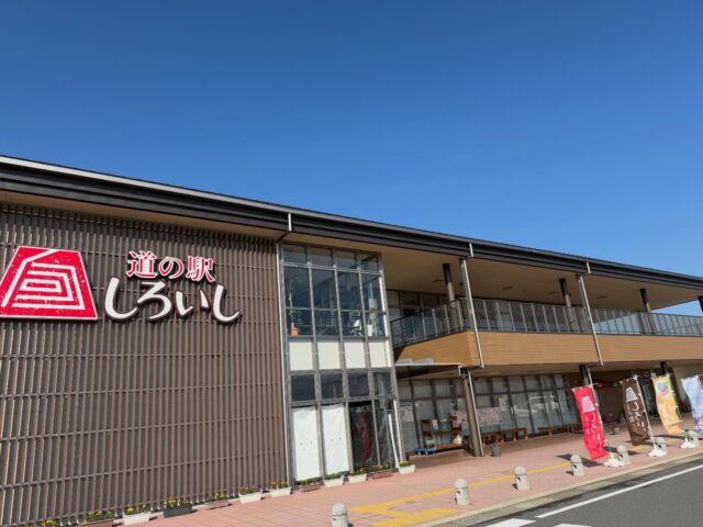 おはようございます☀
5月1日（金）9時オープンしました！
いいお天気です☀️

お花🌸
お野菜🧅🥬🍅たくさん出荷されてます😊
蓮根の出荷量は減ってきました🪷

【2階レストラン】
本日5月1日より
リニューアルオープンいたします✨

⭐︎スタッフの入れ替えがあり、慣れるまでに少しお時間いただきますが、一生懸命『旬のしろいし』をお届けできるよう頑張ります💪🏻

本日もご来店お待ちしてます😊

#道の駅しろいし