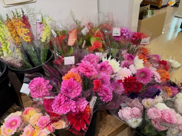 おはようございます☔️
4月26日（日）9時オープンしてました💦
雨になりましたが、朝から多くのお客様にご来店いただきありがとうございます😊

店内外、雨の影響で滑りやすくなってますので、お気をつけてお越しください😊

本日もご来店お待ちしてます😊

#道の駅しろいし