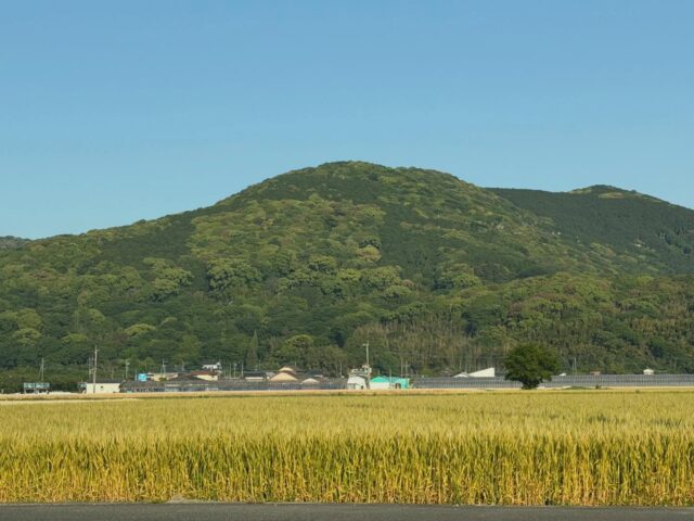 おはようございます☀️
5月15日（金）9時オープンしました！

早朝の稲佐山⛰️
いい天気☀️です😊
農作業日和り🧅

スイートコーン🌽の出荷も少しづつ増えてきました😊

本日もご来店お待ちしてます😊

#道の駅しろいし