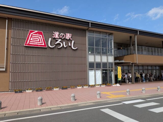 おはようございます☀️
5月23日（土）9時オープンしました！
朝から多くのお客様にご来店いただきありがとうございます😊

本日、スイートコーン🌽
お一人様3袋までに制限させていただいております🙇‍♀️

道の駅のおばあちゃん👵もスイートコーン🌽になりました😊

本日もご来店お待ちしてます😊

#道の駅しろいし