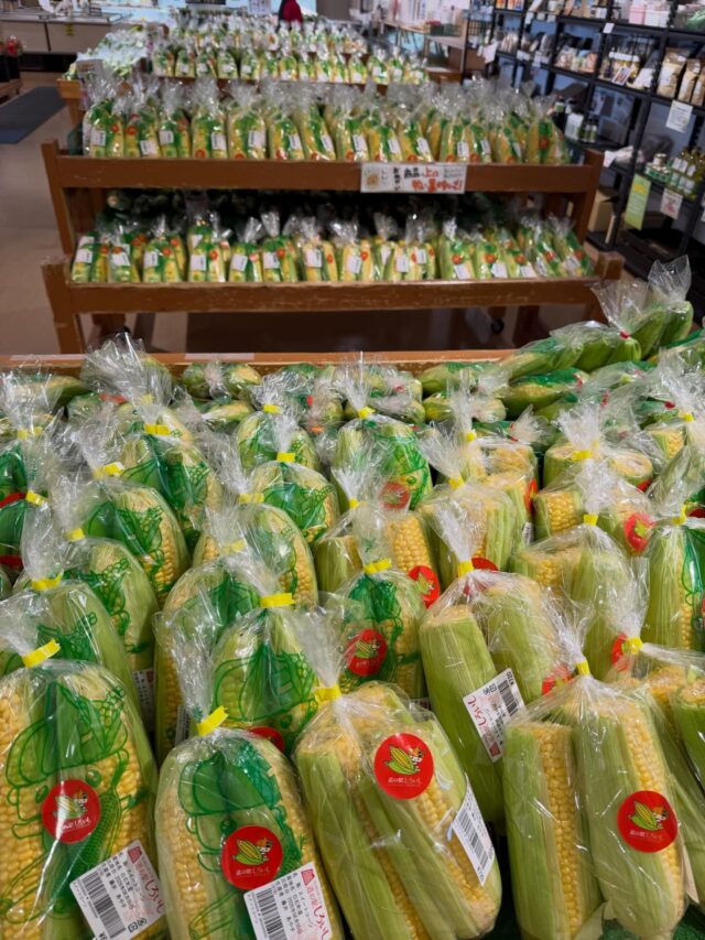 おはようございます😊
6月5日（金）9時オープンしました！

本日もスイートコーン🌽
たくさん入荷してます✨

お野菜🥬🥒🍅🧅
お惣菜🍱入荷してます✨

本日もご来店お待ちしてます😊

#道の駅しろいし