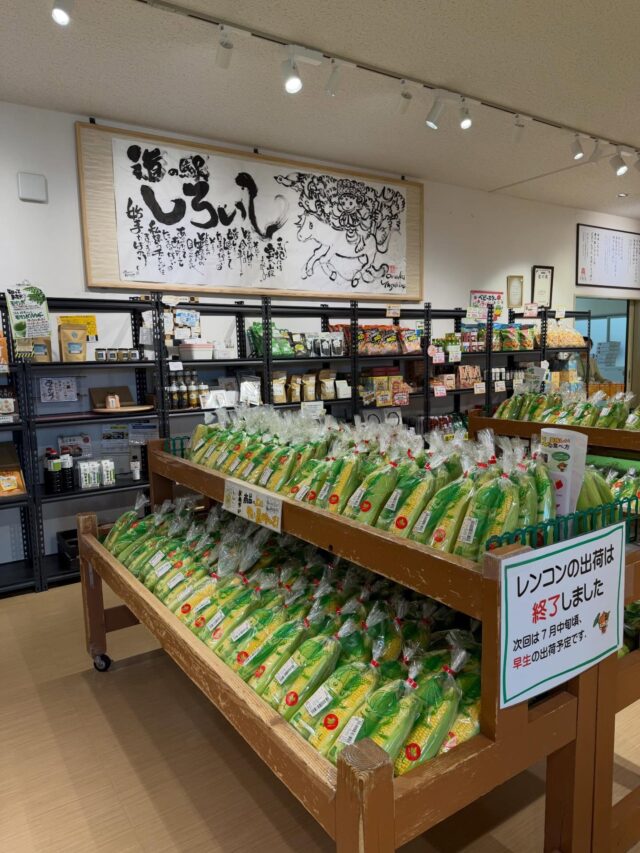 おはようございます😊
6月8日（月）9時オープンしました！

昨日のスイートコーン🌽販売会には多くのお客様にお越しいただきました✨
ありがとうございました😊🙏🏻🙇‍♀️

本日お野菜少なめです
スイートコーンは入荷してます🌽

本日もご来店お待ちしてます😊

#道の駅しろいし