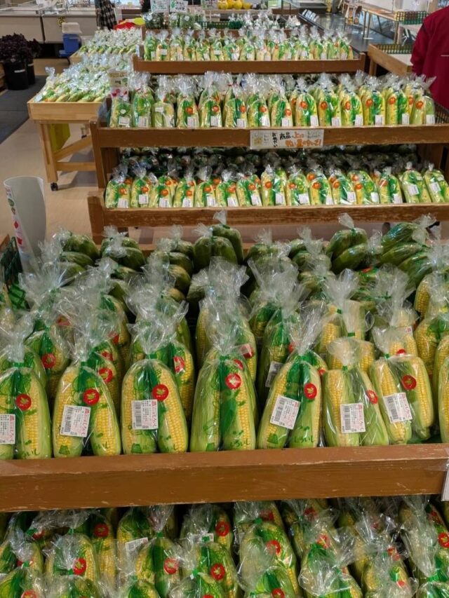 おはようございます☀
6月10日（水）9時オープンしました！

いいお天気になりました☀️

🌽スイートコーン🌽
たくさん出荷されてます✨

お野菜🥬🥒🧅🍅
お惣菜🍱
入荷してます😊

本日もご来店お待ちしてます😊

#道の駅しろいし