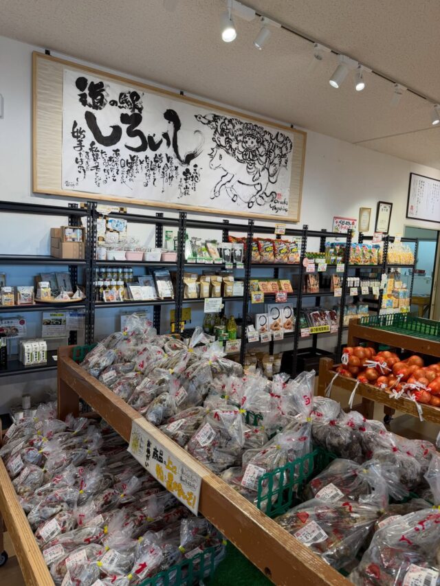 おはようございます☀
7月14日（火）9時オープンしました！

蓮根の出荷が少しずつですが、
増えてきました♪

★明日7月15日（水）は
　　道の駅しろいし、定休日です🙇‍♀️

本日もご来店お待ちしてます😊

#道の駅しろいし