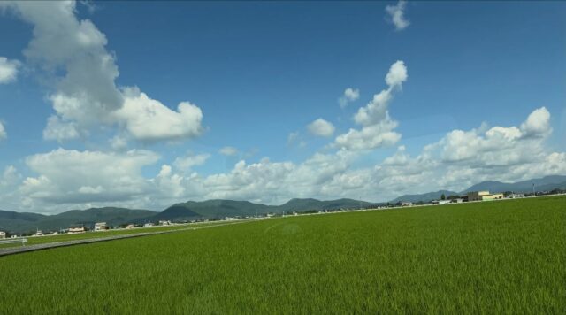 おはようございます☀
7月25日（土）9時オープンしました！
いいお天気です😊

熱中症警戒アラート発令中です💦
お気をつけてお過ごしください😊

本日もご来店お待ちしてます😊

#道の駅しろいし