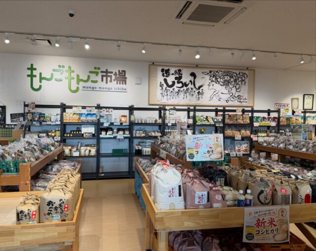 おはようございます☀
8月13日（木）8:30オープンしました！
本日まで8:30営業開始でした😊
明日より通常通りの営業時間になります🙇‍♀️

蓮根🪷玉葱🧅ブドウ🍇
新米コシヒカリ🌾
たくさん入荷してます😊

本日もご来店お待ちしてます😊

#道の駅しろいし
